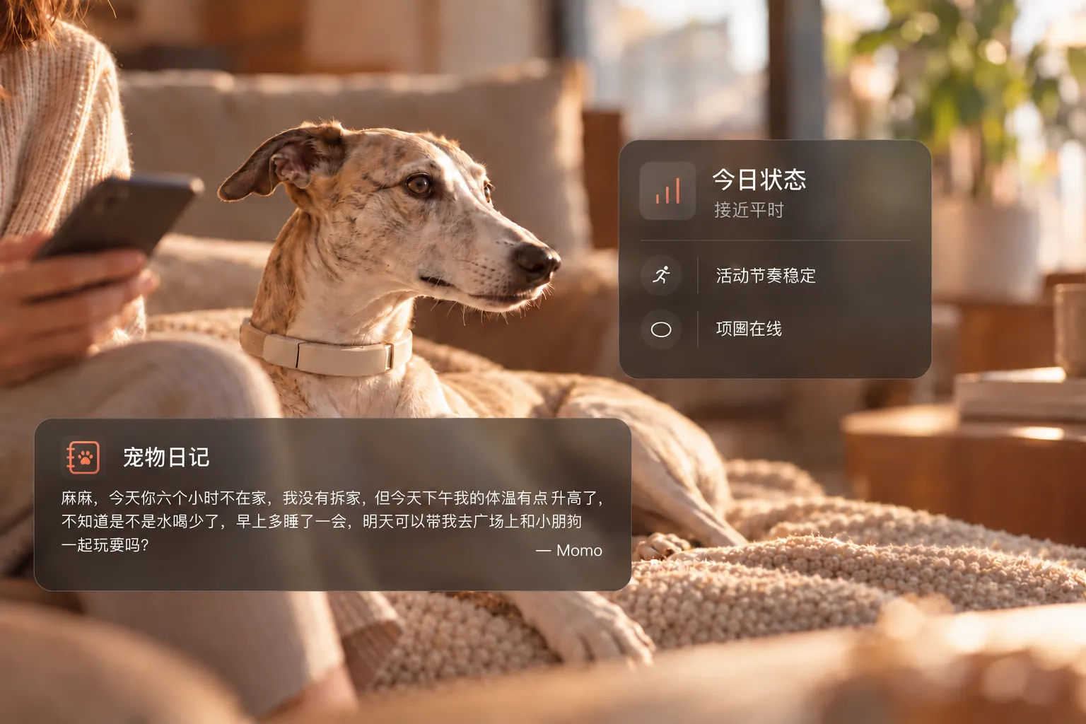 CLASPAW 今日状态与宠物日记未来交互概念图，展示佩戴概念项圈的犬只、今日状态卡片与宠物口吻日记